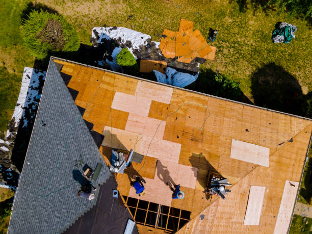 Best Metal Roofing Contractor  in Lynn, IN